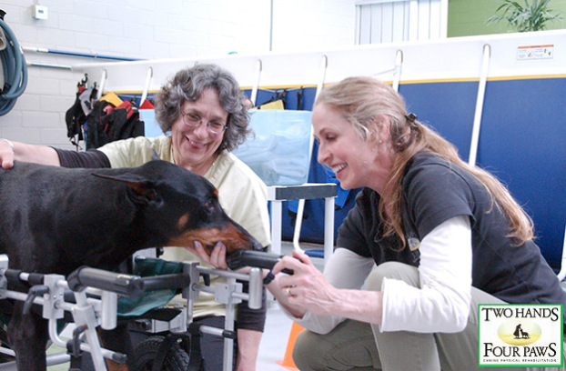 Luckily, Kenny is a tough dog and pulled through the ... Luckily, Kenny is a tough dog and pulled through the ...